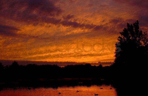 understocks-sunset-romantic-red-sky-lake-evening-photo-stocks